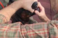 Obrazok-WhatsApp-2023-10-30-o-08.21.06_b87deb8f