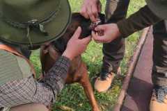 Obrazok-WhatsApp-2023-10-30-o-08.21.08_1863a8f1