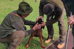 Obrazok-WhatsApp-2023-10-30-o-08.21.09_2f4349f3