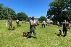 IMG-20230606-WA0021