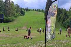 IMG-20240513-WA0033