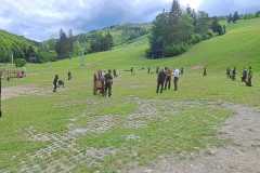 IMG-20240513-WA0035
