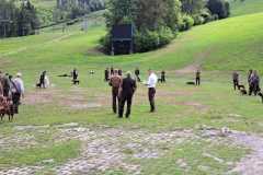 IMG-20240513-WA0043