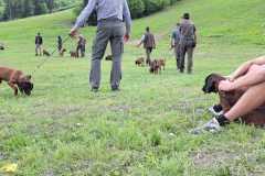 IMG-20240513-WA0049