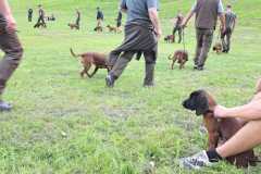 IMG-20240513-WA0050