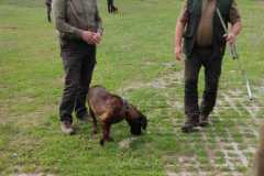 IMG-20240513-WA0085