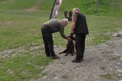 IMG-20240513-WA0087