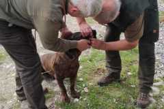 IMG-20240513-WA0089
