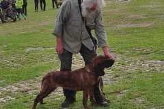 IMG-20240513-WA0094