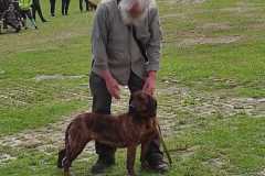 IMG-20240513-WA0095