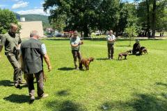 2024/06/02 Klubová výstava Hanušovce nad Topľou