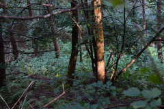 DSC_0429