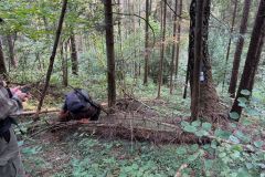 IMG-20240901-WA0020