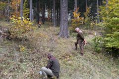 IMG-20241028-WA0003