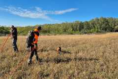 IMG-20241028-WA0033