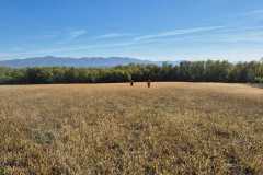 IMG-20241028-WA0058