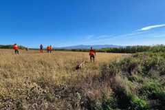 IMG-20241028-WA0060
