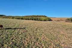 IMG-20241028-WA0064