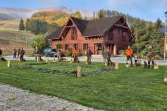 IMG-20241114-WA0020
