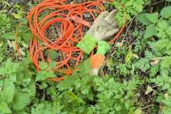 IMG-20241114-WA0023
