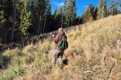 IMG-20241114-WA0024