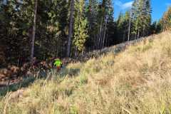 IMG-20241114-WA0025