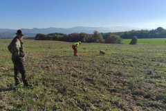 IMG-20241114-WA0094