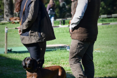 DSC_0014_edited