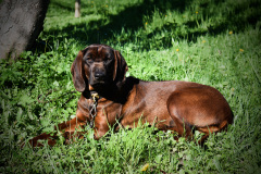 DSC_0024_edited