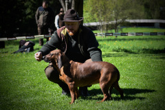 DSC_0205_edited