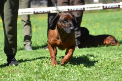 DSC_0255_edited