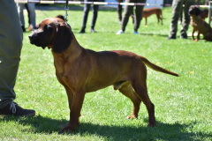 DSC_0287_edited