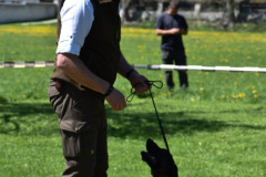 DSC_0398_edited