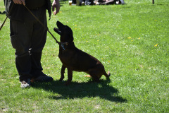 DSC_0437_edited