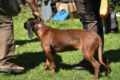DSC_0465_edited