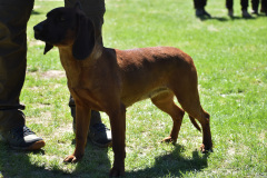 DSC_0497_edited