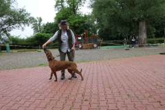 P1010029