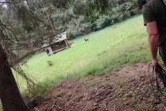 1_WhatsApp-Image-2026-03-31-at-22.15.43-6
