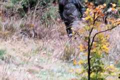 IMG-20251027-WA0006
