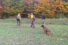 IMG-20251027-WA0021