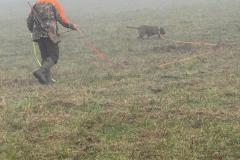IMG-20251027-WA0048