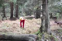 IMG-20251106-WA0021