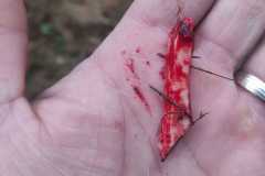 IMG-20251110-WA0002