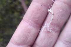 IMG-20251110-WA0004