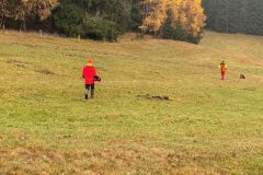 IMG-20251110-WA0008