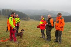 IMG-20251110-WA0009