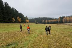 IMG-20251110-WA0010