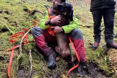 IMG-20251110-WA0061
