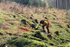 IMG-20251110-WA0062