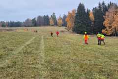 IMG-20251110-WA0135